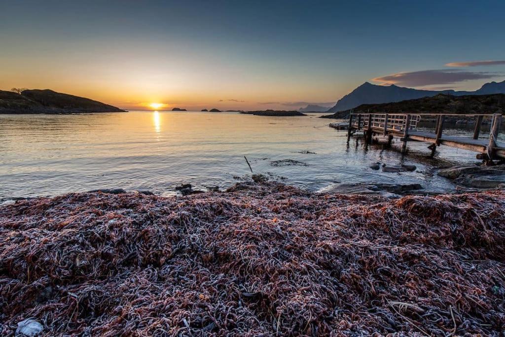 Lofoten - New Apartment, Close To Airport. Лекнес Экстерьер фото
